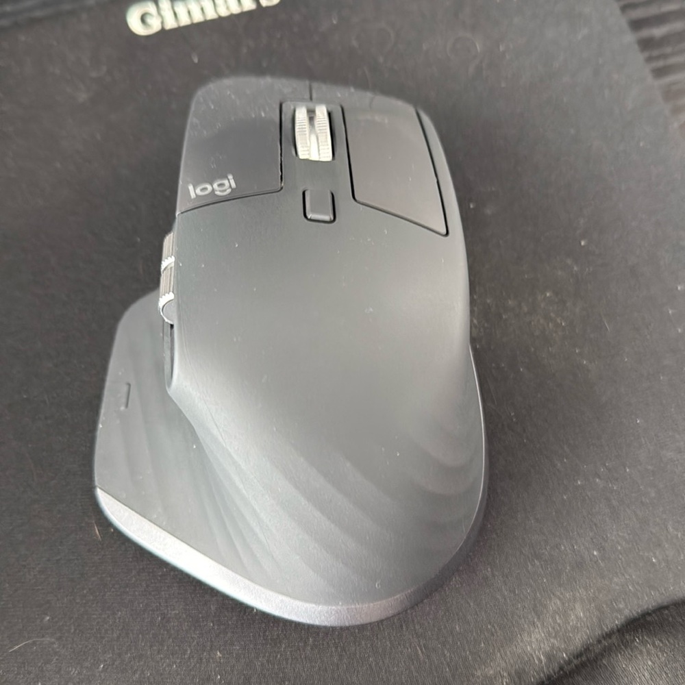 Mouse